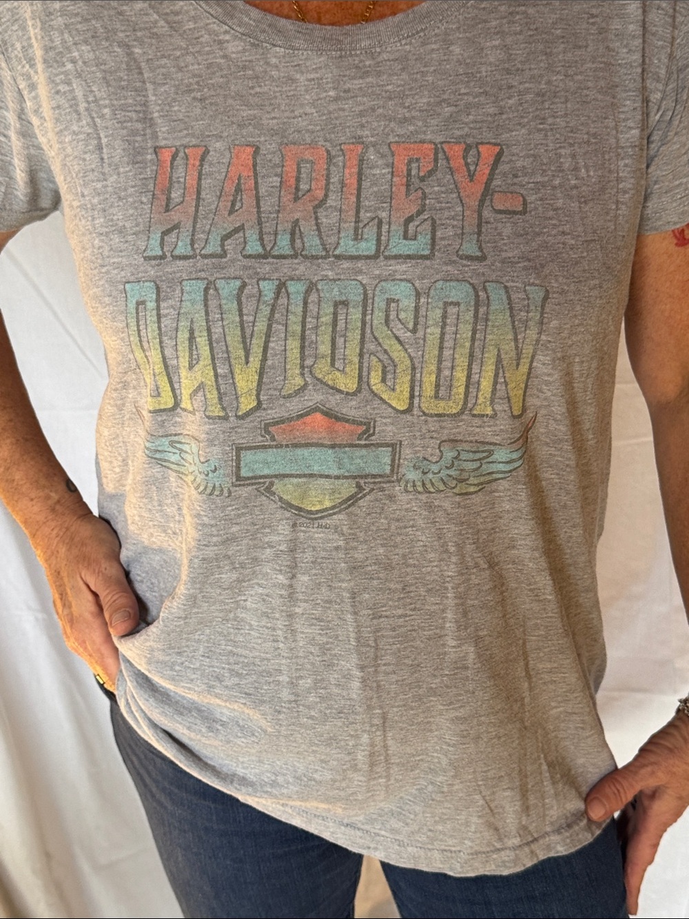 Harley-Davidson Gray Tee with Faded Rainbow Logo